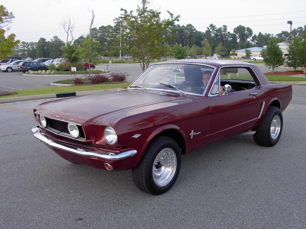 Обои картинки фото 1965, ford, mustang, classic, 02, автомобили