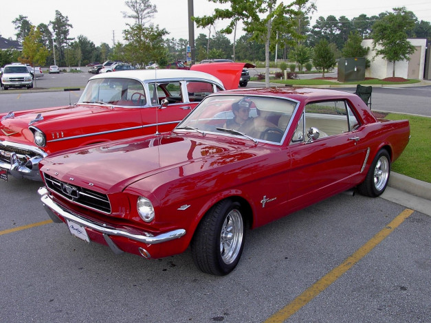 Обои картинки фото 1965, ford, mustang, classic, 03, автомобили