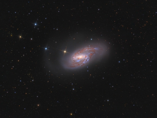 Обои картинки фото спиральная, галактика, m66, космос, галактики, туманности