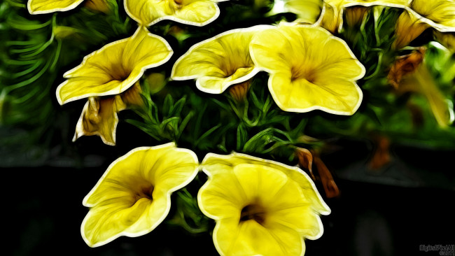 Обои картинки фото 3д, графика, flowers, цветы, жёлтый, тёмный