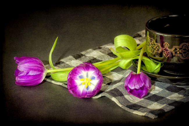 Обои картинки фото цветы, тюльпаны, чашка, салфетка, лиловый
