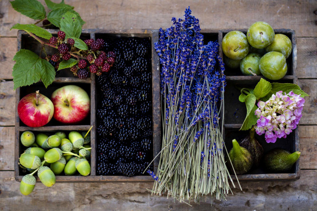 Обои картинки фото еда, фрукты, ягоды, цветы, лаванда, ежевика, сливы, яблоки, желуди, осень, корзина