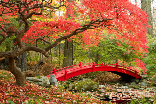 Обои картинки фото природа, парк, осень, листья, деревья, мостик, река
