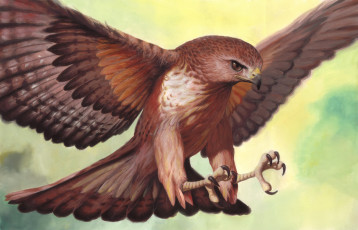 Картинка рисованное животные +птицы +орлы охота полет орел