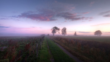 Картинка природа дороги забор поле утро