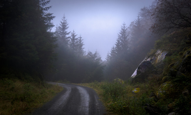 Обои картинки фото природа, дороги, дорога, деревья, лес, туман, камни