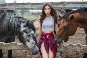 Картинка девушки -unsort+ брюнетки +шатенки девушка взгляд лошади забор