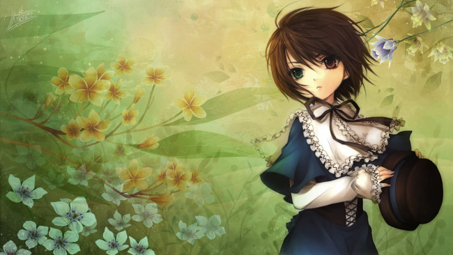 Обои картинки фото аниме, unknown,  другое, девушка, фон, дева-роза, арт, шляпа, цветы, souseiseki, mizunomoto, ветер, разные, глаза