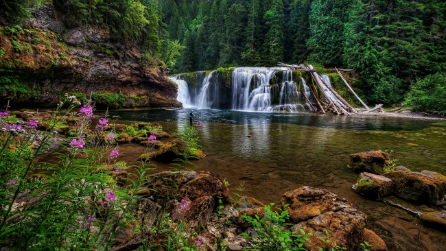 Обои картинки фото природа, водопады, река, деревья, лес