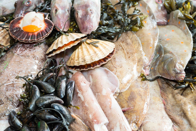 Обои картинки фото еда, рыба,  морепродукты,  суши,  роллы, мидии, устрицы