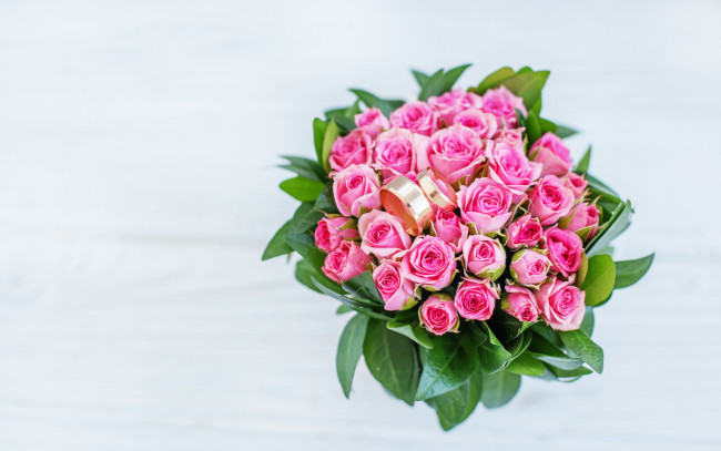 Обои картинки фото цветы, розы, букет, розовые, кольца