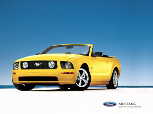 Картинка ford mustang автомобили