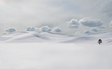 Картинка природа зима облака сугробы дерево снег