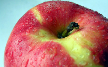 Картинка еда Яблоки яблоко хвостик капли