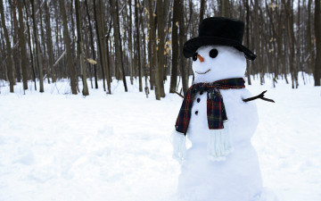 Картинка праздничные снеговики лес снеговик