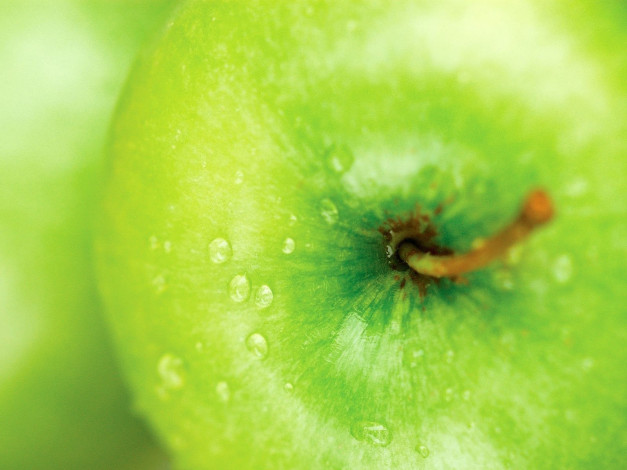 Обои картинки фото еда, Яблоки, яблоко, хвостик, капли, макро
