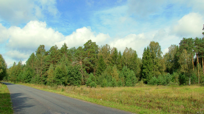 Обои картинки фото нижегородский, край, природа, дороги, лес, дорога, небо, облака