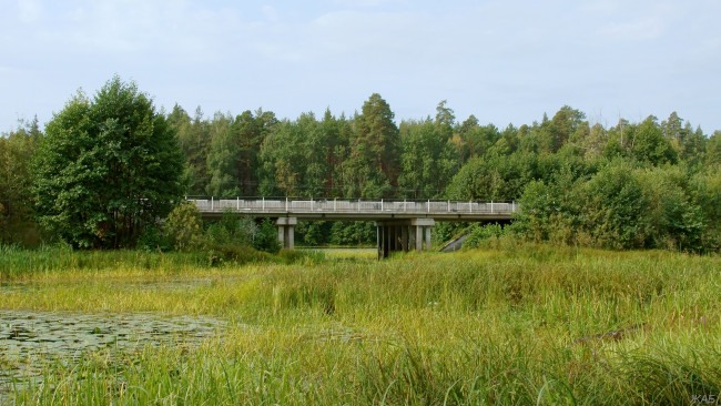 Обои картинки фото нижегородский, край, природа, пейзажи, протока, мост, лес