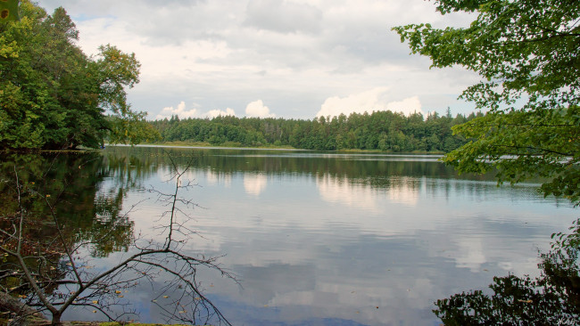 Обои картинки фото нижегородский, край, природа, реки, озера, лес, озеро