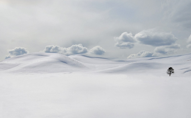 Обои картинки фото природа, зима, облака, сугробы, дерево, снег