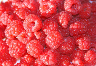 Картинка еда малина текстура ягоды