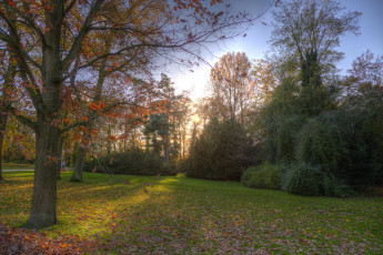 Картинка природа парк краски осень
