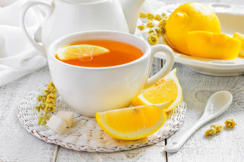Картинка еда напитки +Чай блюдце лимоны чашка чай напиток цветок cup tea drink flower lemons