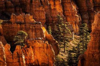Картинка природа горы скалы деревья закат