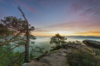 Картинка природа восходы закаты туман заря лес горы