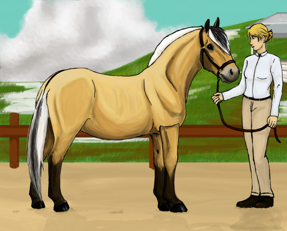 Обои картинки фото рисованное, животные,  лошади, небо, холмы, забор, всадник, лошадь