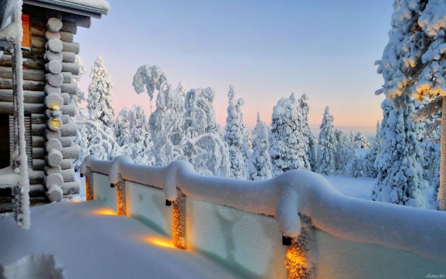 Обои картинки фото природа, зима, ели, снег