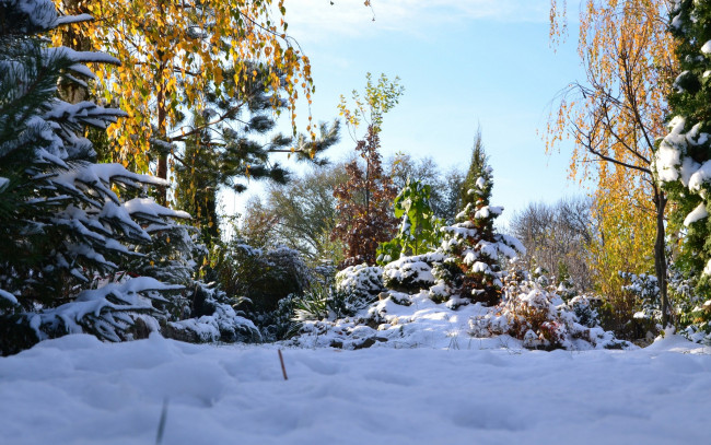 Обои картинки фото природа, зима, осень, пейзаж, снег, красота