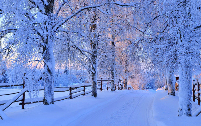 Обои картинки фото природа, зима, снег, дорога, деревья, лес, небо, пейзаж, forest, road, nature, winter, sky, white, beautiful, cool, nice, snow, sunset, path, trees