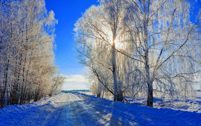Обои картинки фото природа, зима, снег, дорога, деревья, небо