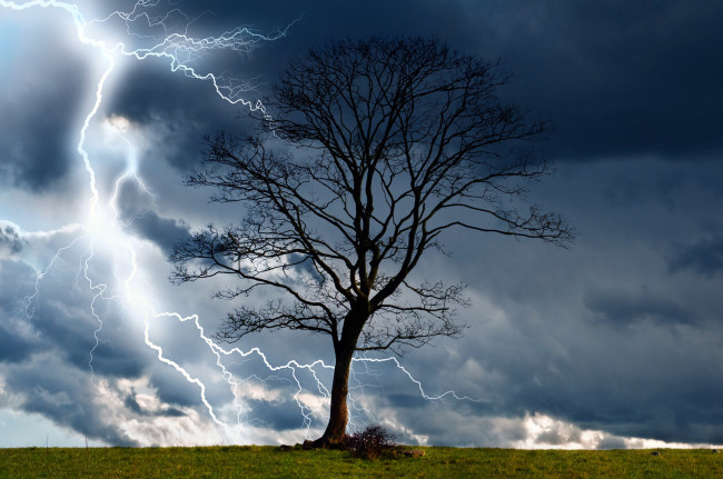 Обои картинки фото природа, стихия, гроза, дерево, молния, тучи