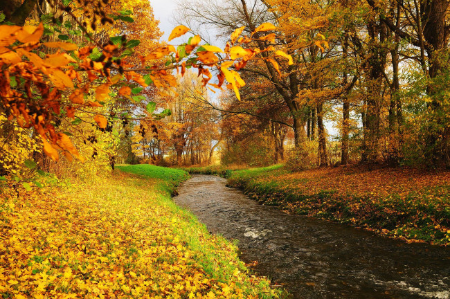 Обои картинки фото природа, реки, озера, осень, деревья, листва, река, поток