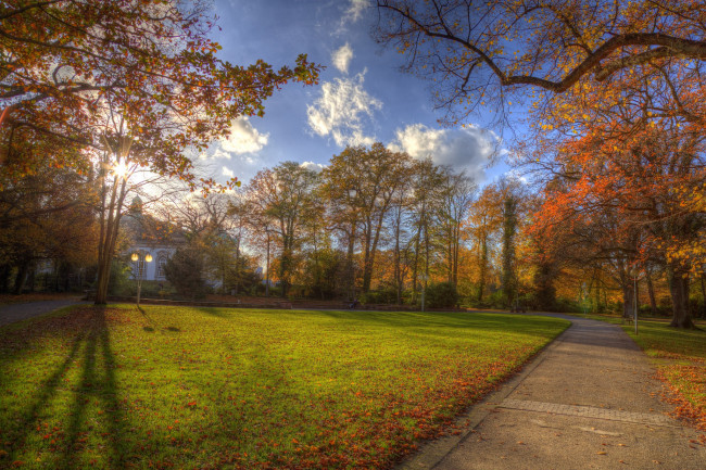 Обои картинки фото природа, парк, осень, краски