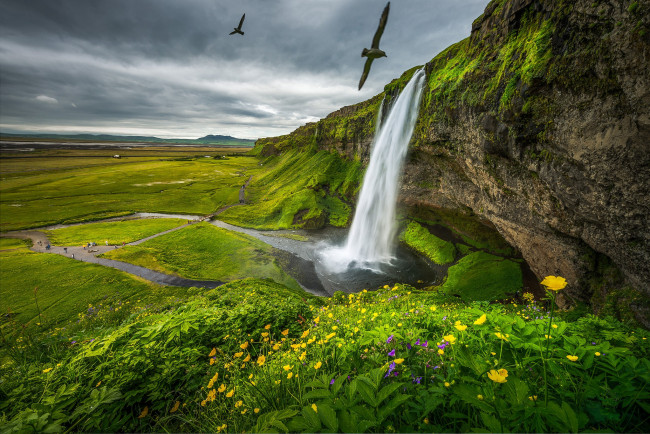 Обои картинки фото природа, водопады, трава, водопад, равнина, ручей, цветы