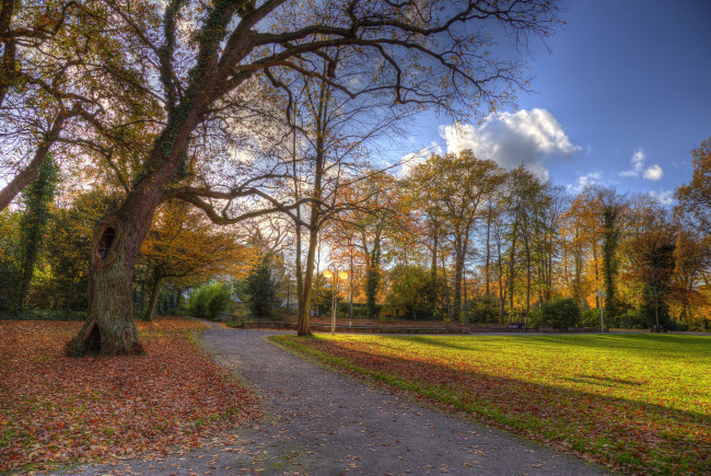 Обои картинки фото природа, парк, краски, осень