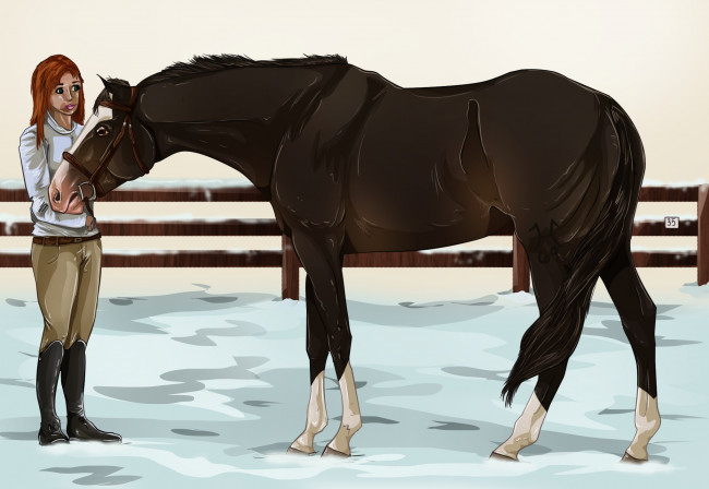 Обои картинки фото рисованное, животные,  лошади, грива, всадник, лошадь, снег, забор