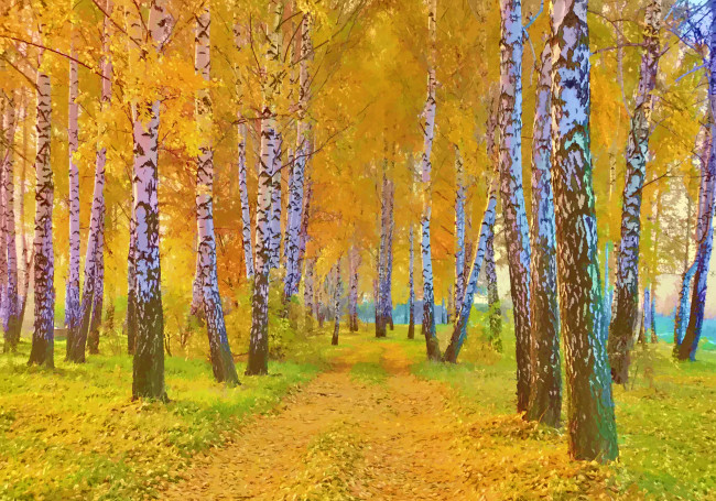 Обои картинки фото рисованное, природа, осень, пейзаж, трава, листья, березы, деревья, дорога