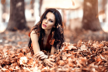 Картинка девушки alessandro+di+cicco осень листья волосы девушка пробуждение alessandro di cicco iced eyes