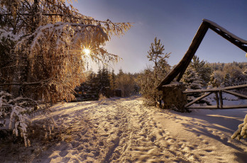 Картинка природа зима дорога снег