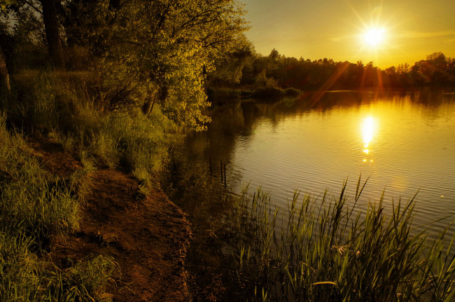 Обои картинки фото природа, восходы, закаты, река, лес