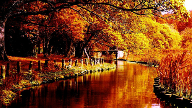 Обои картинки фото природа, реки, озера, осень, деревья, вода