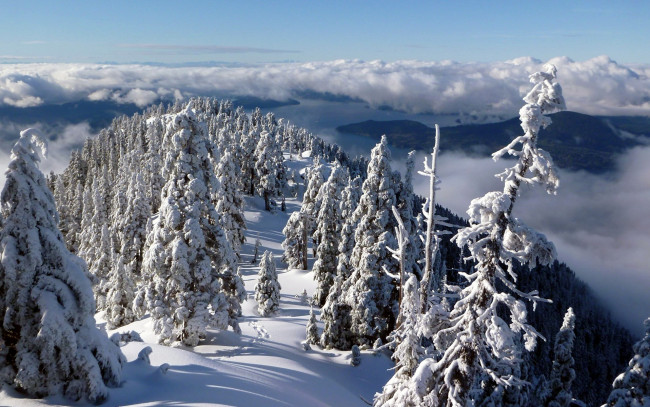 Обои картинки фото природа, зима, елки, облака, горы, сугробы, снег
