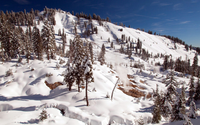 Обои картинки фото природа, зима, снег, склон, елки