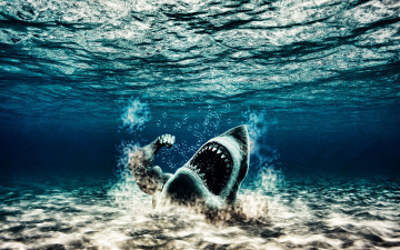 Картинка разное компьютерный+дизайн акула море рука
