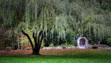 Картинка природа парк часовня плакучая ива