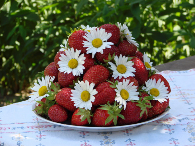 Обои картинки фото еда, клубника,  земляника, ягоды, спелая, крупная, цветы, ромашки